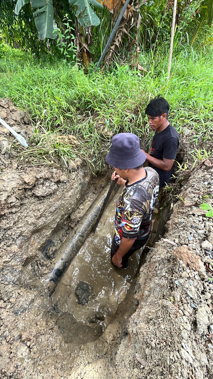 marudi